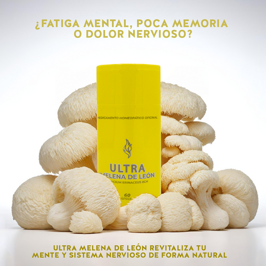 ¿Fatiga mental, poca memoria o dolor nervioso? Ultra Melena de León revitaliza tu mente y sistema nervioso de forma natural