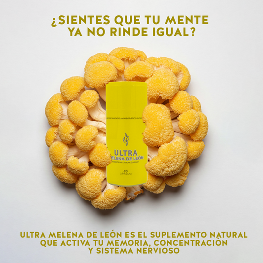 ¿Sientes que tu mente ya no rinde igual? Ultra Melena de León es el suplemento natural que activa tu memoria, concentración y sistema nervioso
